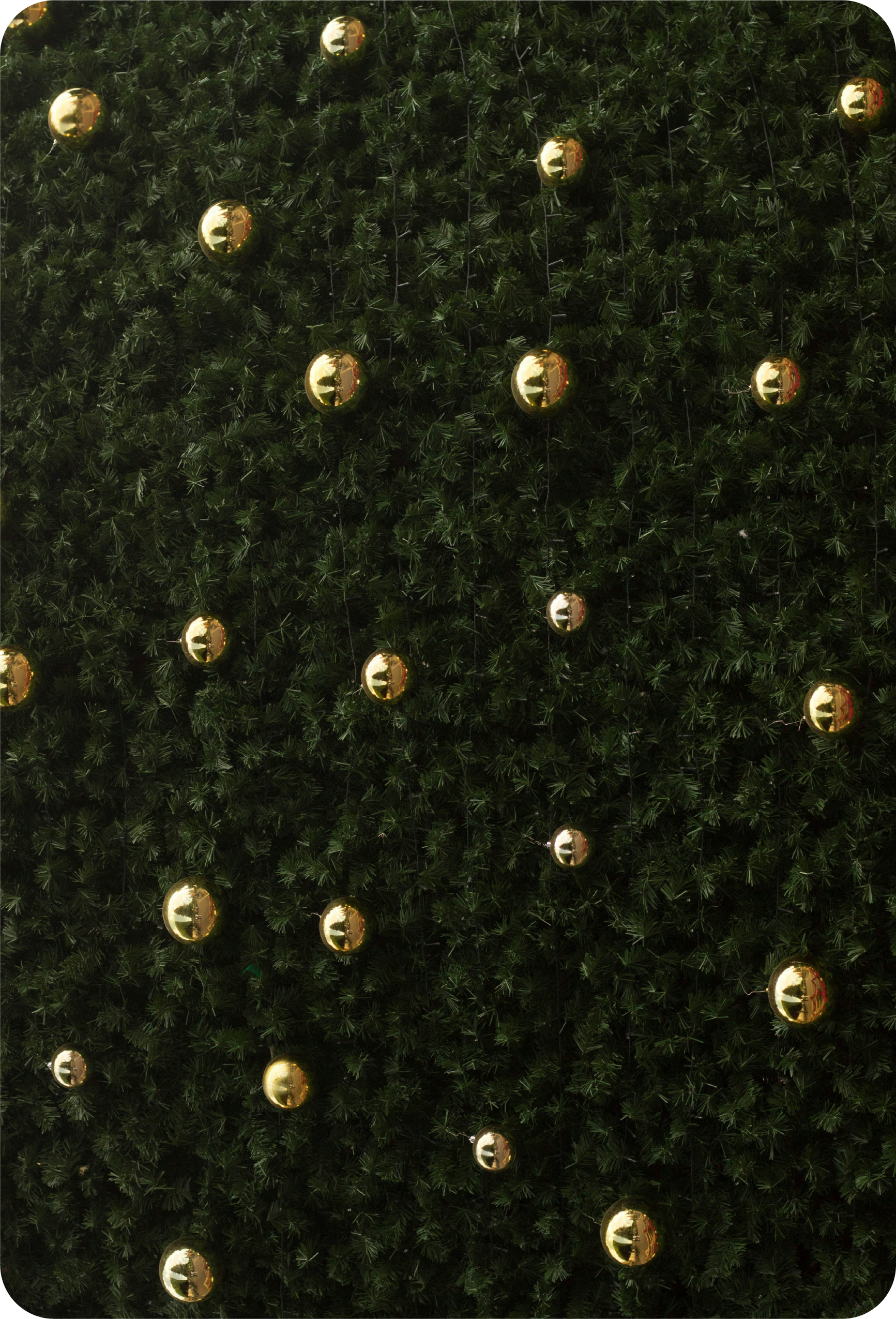 Beaded